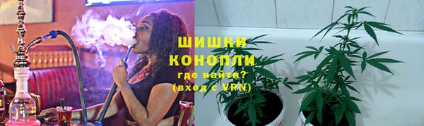 прущие грибы Луховицы