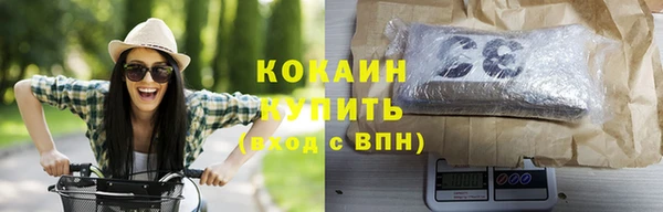 гашик Дмитров