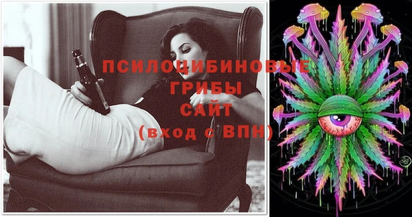 винт Дмитриев