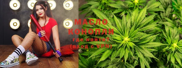 гашик Дмитров