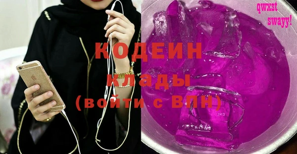 гашик Дмитров