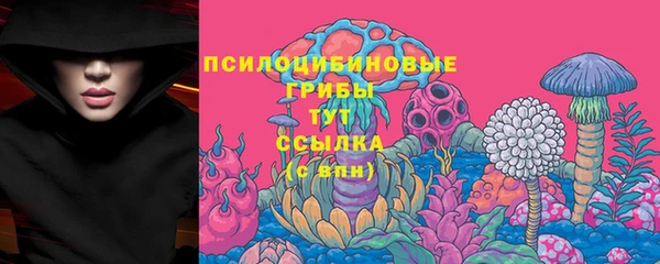 гашик Дмитров
