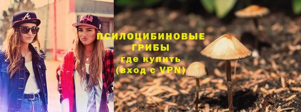 гашик Дмитров