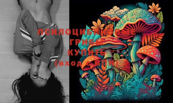 шишки Медногорск