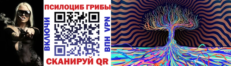 Галлюциногенные грибы Psilocybine cubensis  Моршанск 