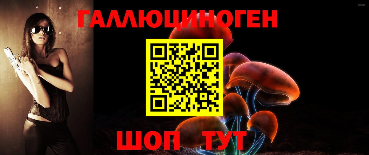 Псилоцибиновые грибы GOLDEN TEACHER  Псилоцибиновые грибы Magic Shrooms  Моршанск  Вход с VPN 